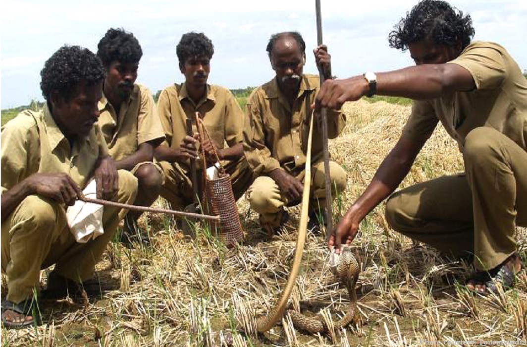 Irulas in a village in Tamil Nadu