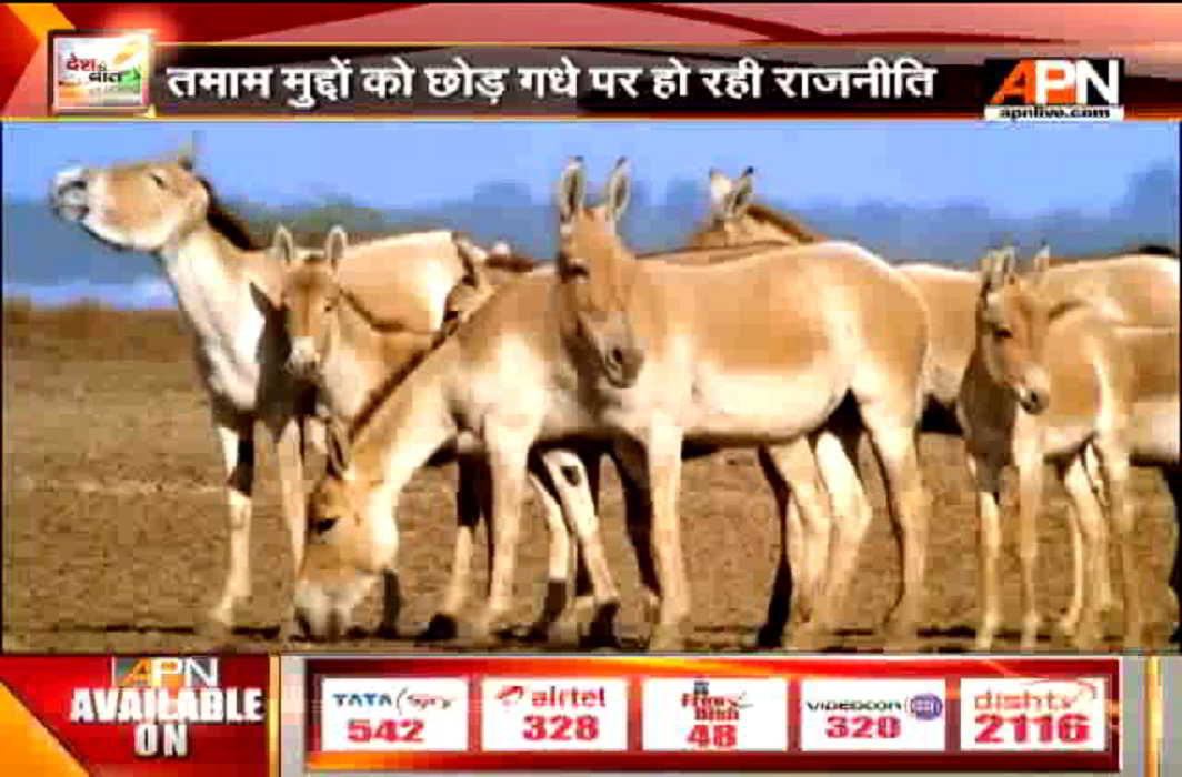 Proud to take inspiration from Donkey: PM Modi