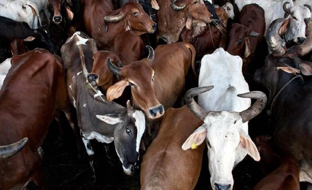 Gau rakshaks lynch two teenagers in Assam