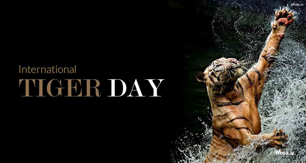 International Tiger Day