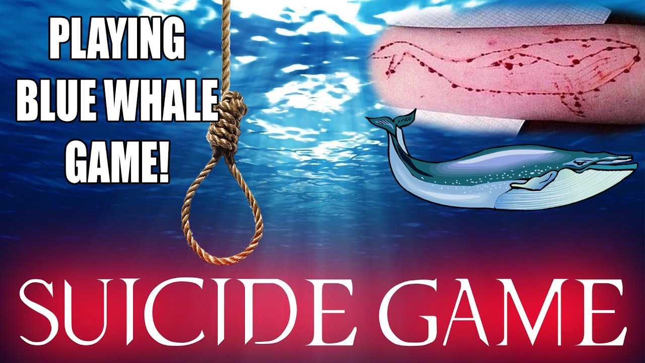 Blue Whale Suicide Game