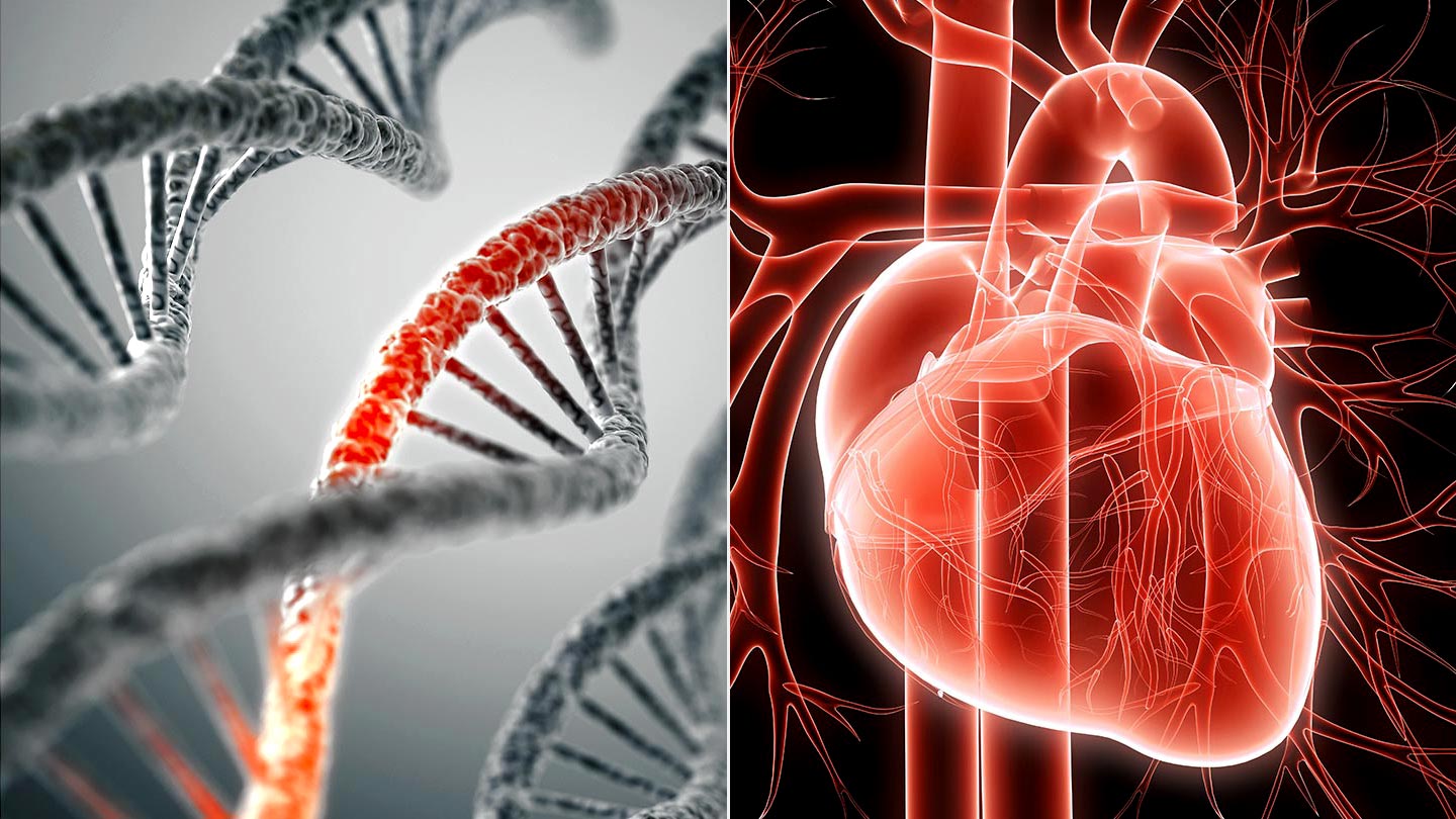 Study identifies genetic link to heart disease in Indian population