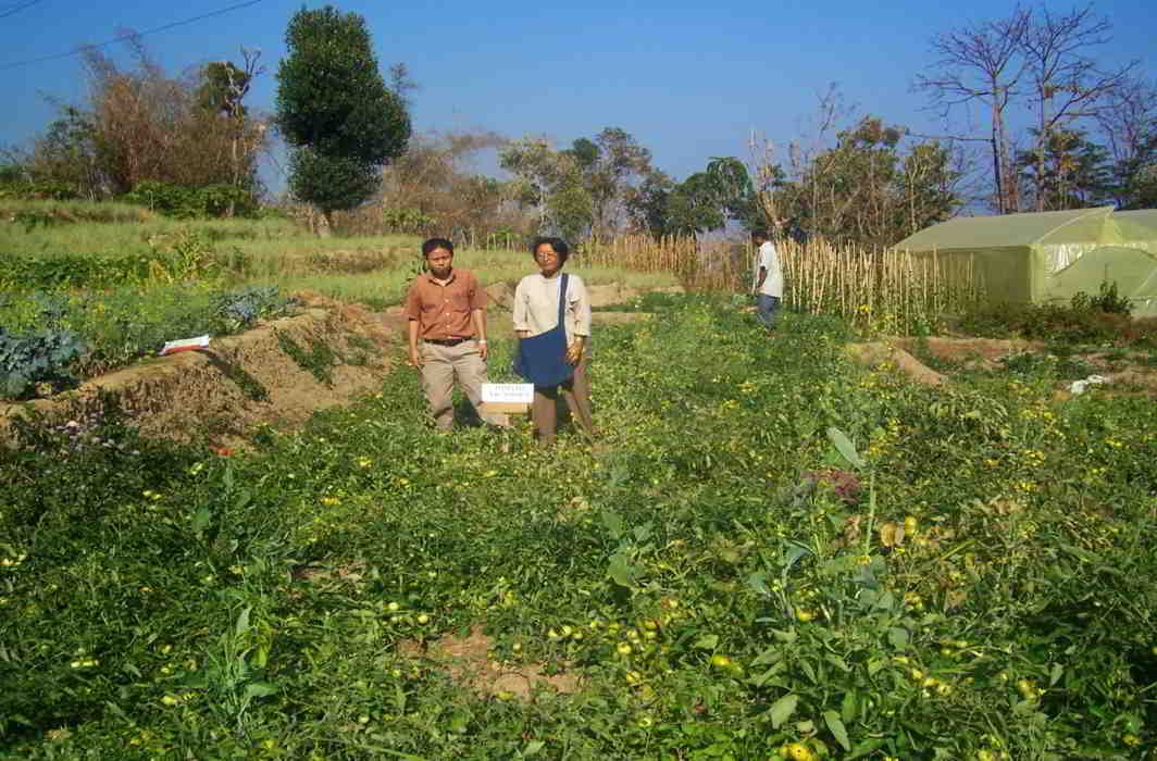 Climate change blues: ‘everyday monsoon’ foxes Mizo farmers