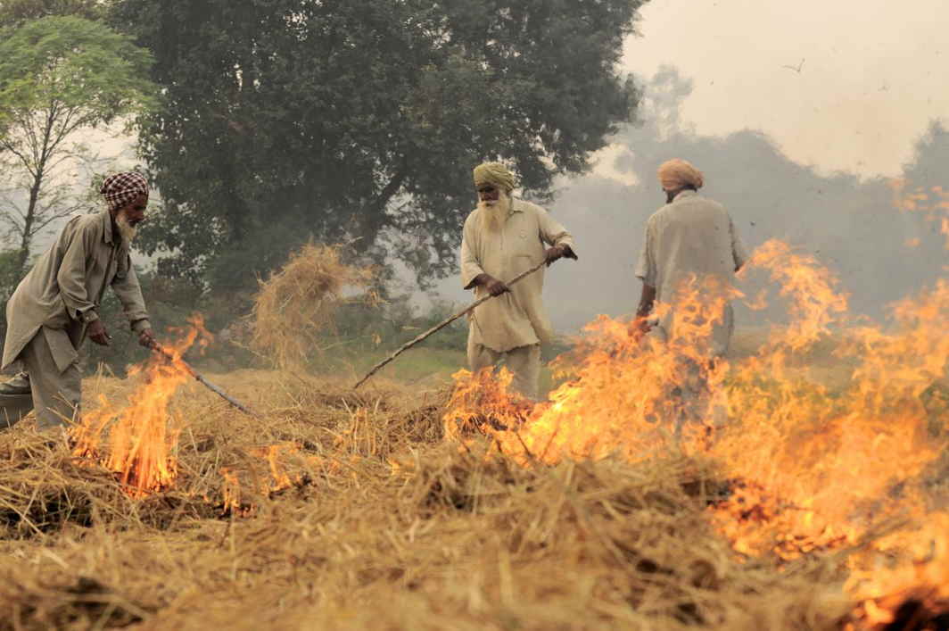 Stubble burning