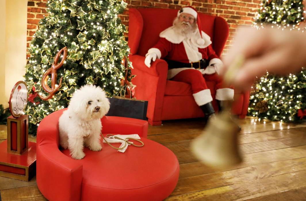 TOYS ARE US: A dog sits on a sofa next to a man dressed as Santa Claus while its owner (not pictured) takes a picture of it inside Villa-Lobos shopping mall in Sao Paulo, Brazil, Reuters/UNI