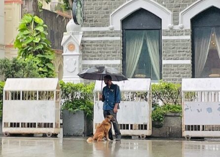 man sharing his umbrella with a stray dog