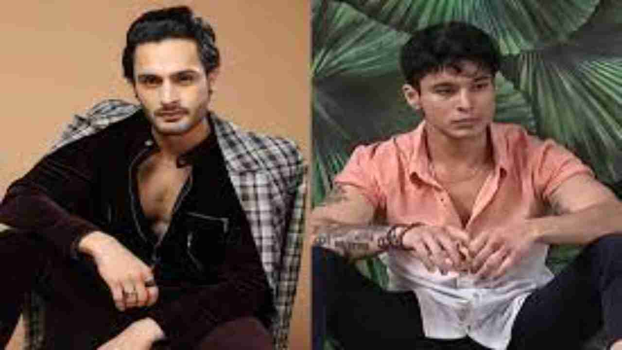 Bigg Boss 15: Umar Riaz and Pratik Sehajpal