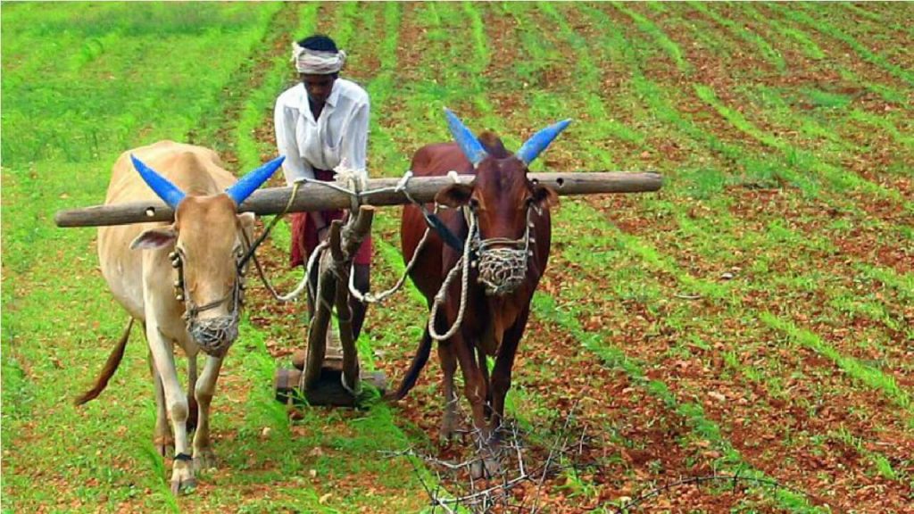 national-farmers-day-2024-chaudhary-charan-singh-tribute