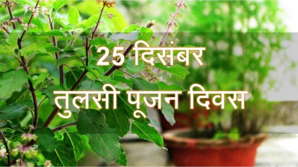 Tulsi Pujan Diwas 2021