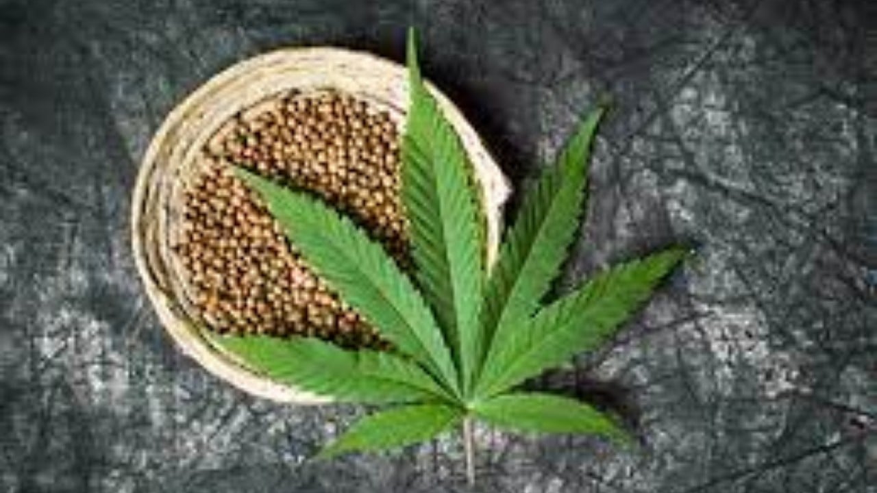 Hemp compound