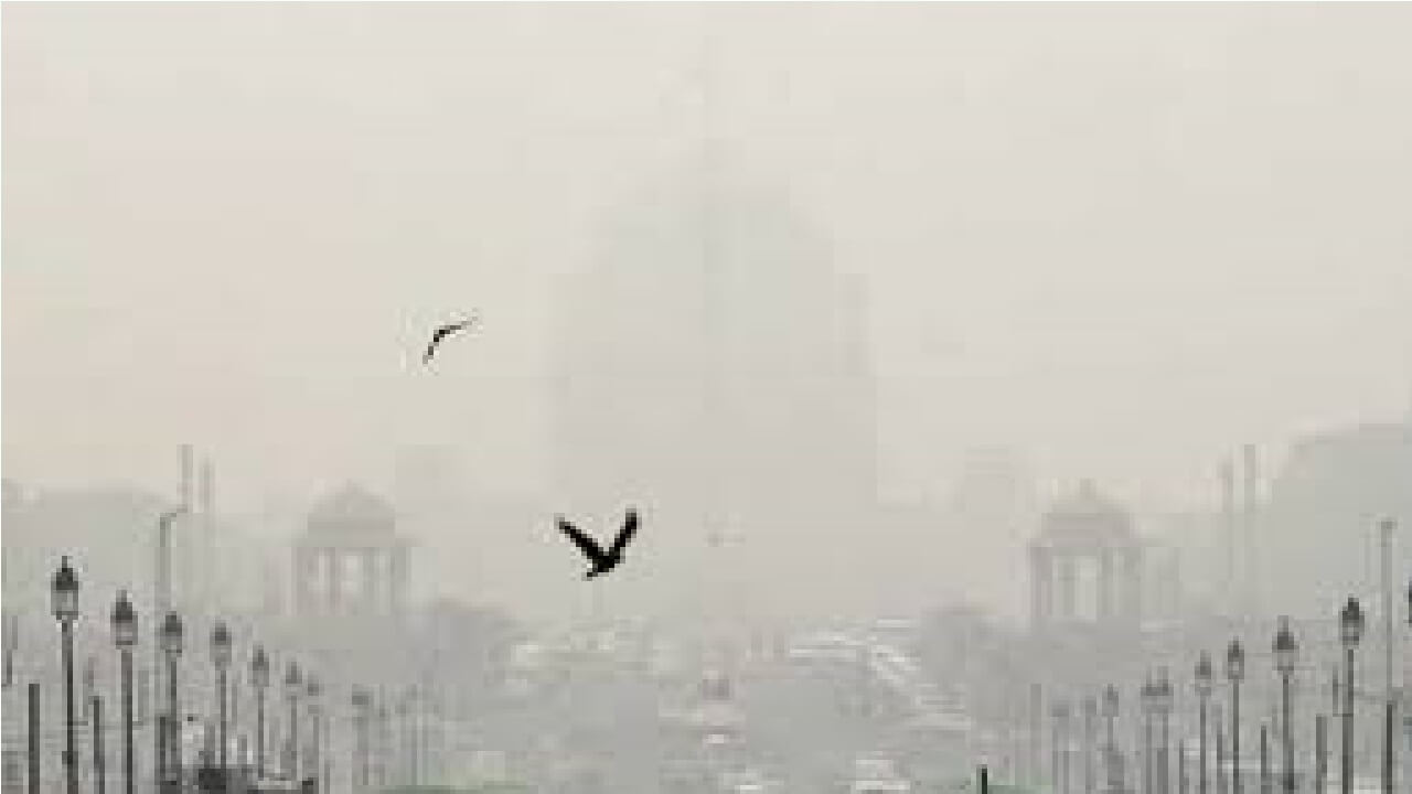 IMD predicts rain in Delhi