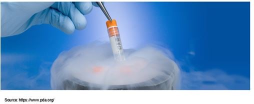 Cryopreservation