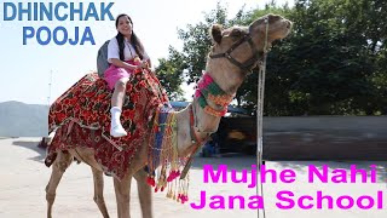 Dhinchak Pooja