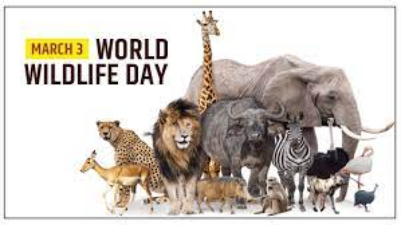 World Wildlife Day 2022