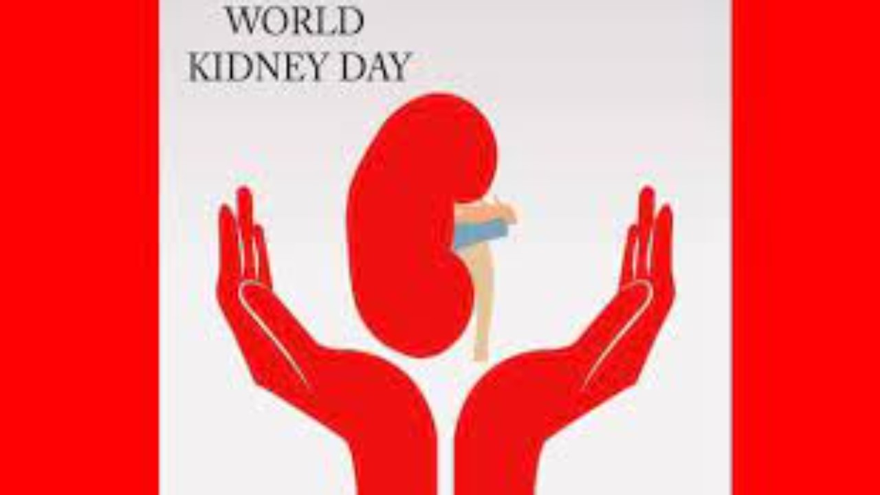 World Kidney Day 2022