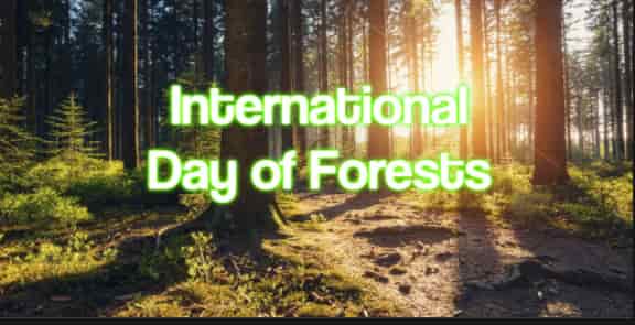 International Day of Forests 2022