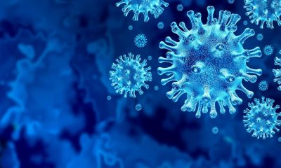 11 types of corona variants found in 124 people coming from abroad between December 24 to 3rd January