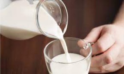 adulterated milk