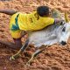 Tamil Nadu jallikattu Festival