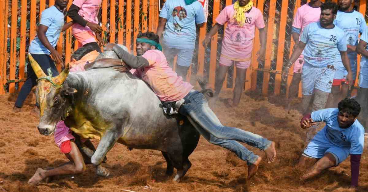 14-year-old gored to death at Jallikattu event in Tamil Nadu