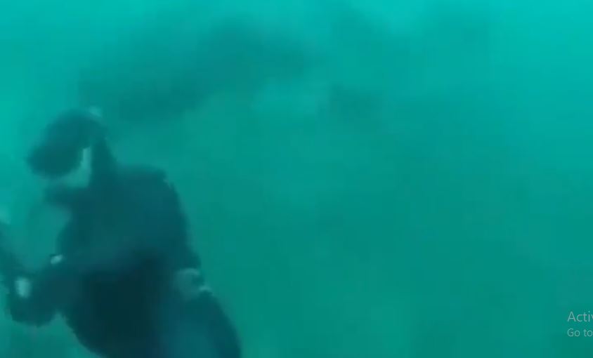 man encountering shark in ocean