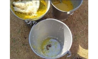 snake found in the mid-day meal