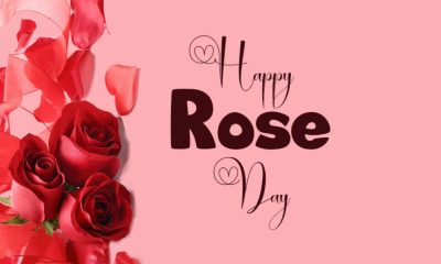 Rose Day