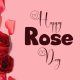 Rose Day