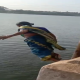 saree clad women diving into Tamil Nadu river