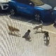 boy mauled to death by dog