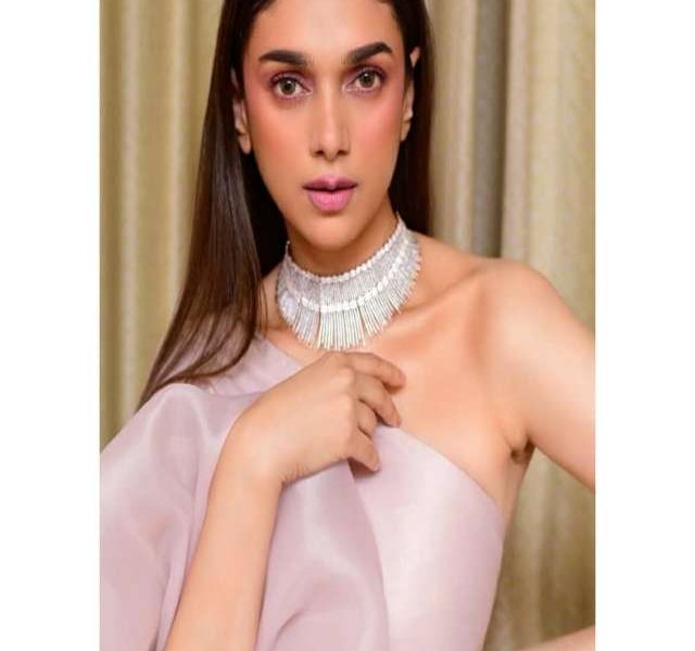 aditiraohydari_67513241_529693944235999_118460468735028031_n (1)