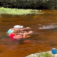 US couple feeding alligator