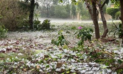 Delhi rains