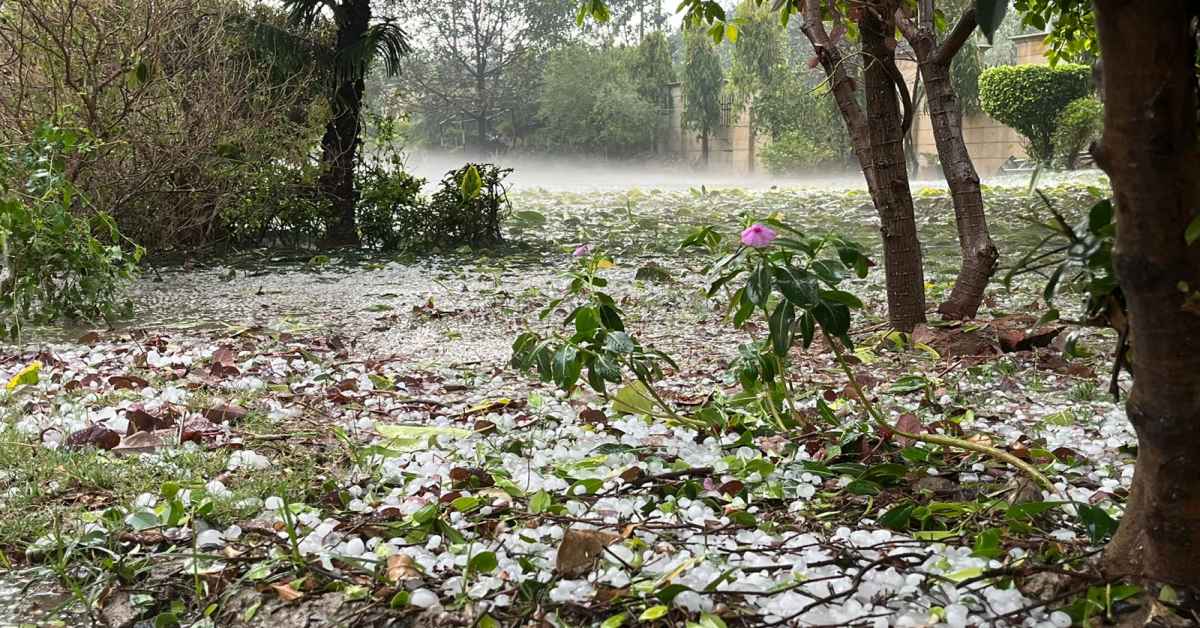 Delhi rains