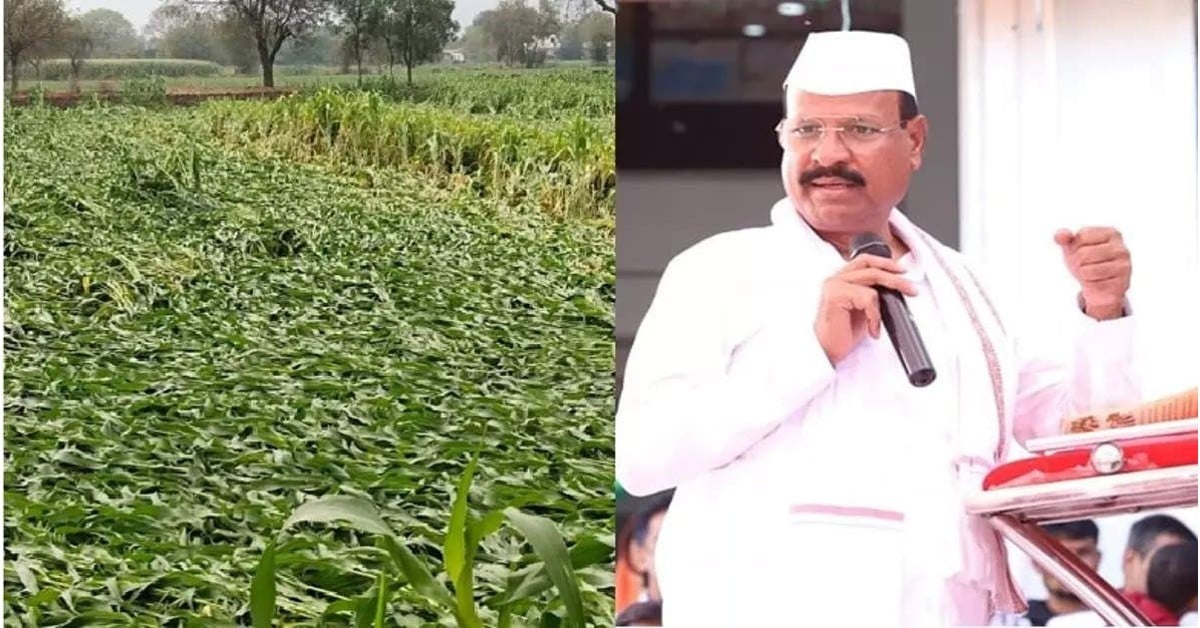 Maharashtra Agriculture Minister