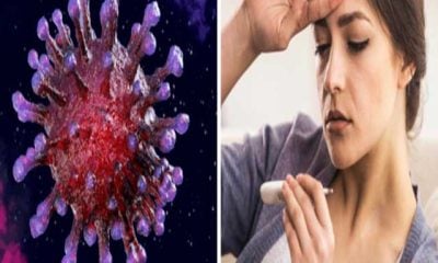 h3n2-influenza-virus-first-death-in-india-know-3-main-symptoms-of-virus-in-victim-98545747