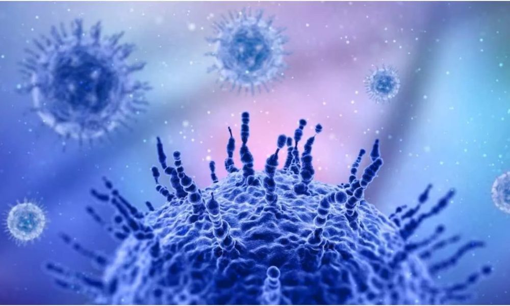 H3N2 Influenza Virus