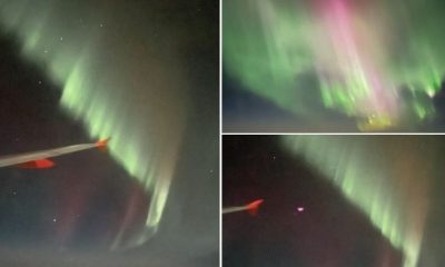 Northern lights