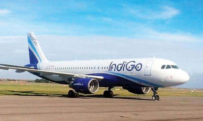 IndiGo Flight