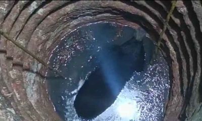 Bear falls into well