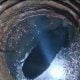 Bear falls into well