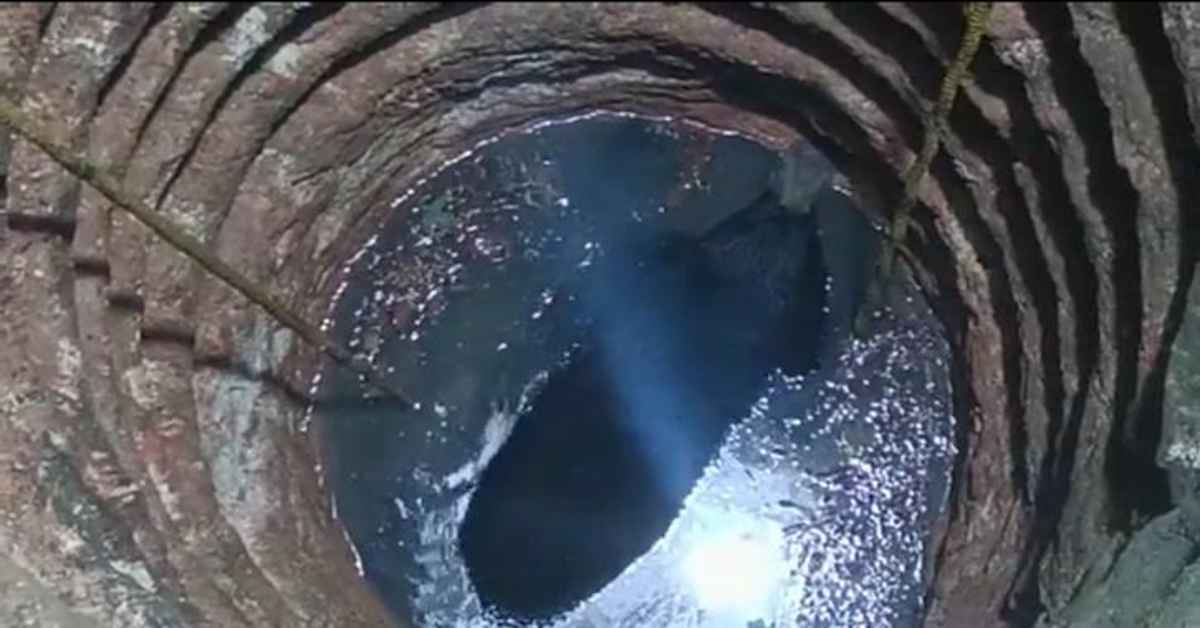 Bear falls into well