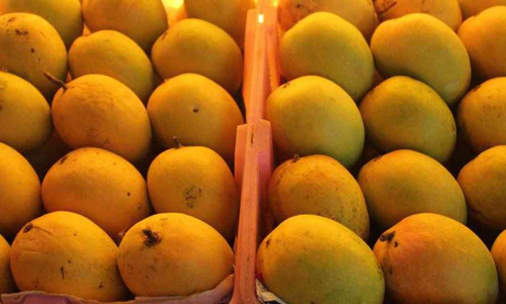 Alphonso mangoes EMI