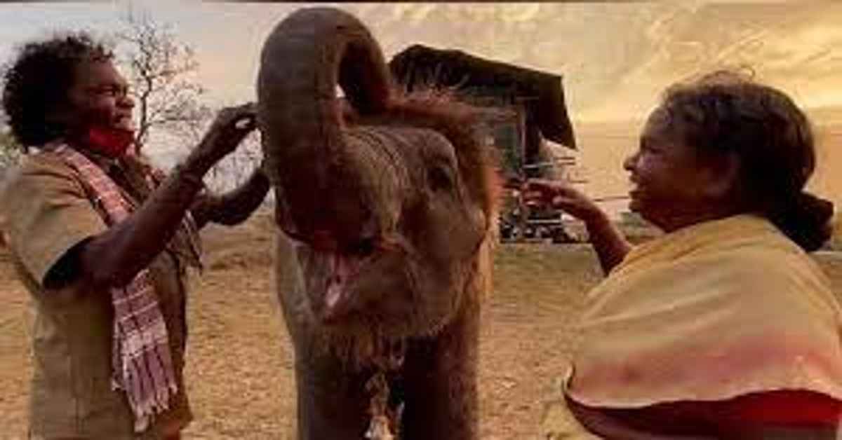 PM Modi to meet The Elephant Wishperers' Bomman, Bellie