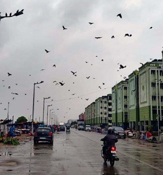 Dust storm, light rain expected in Delhi-NCR today, heatwave conditions to abate