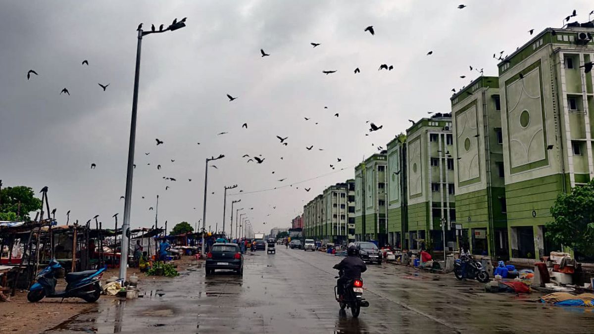 Dust storm, light rain expected in Delhi-NCR today, heatwave conditions to abate