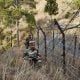 Terrorist shot dead in jammu and kashmir