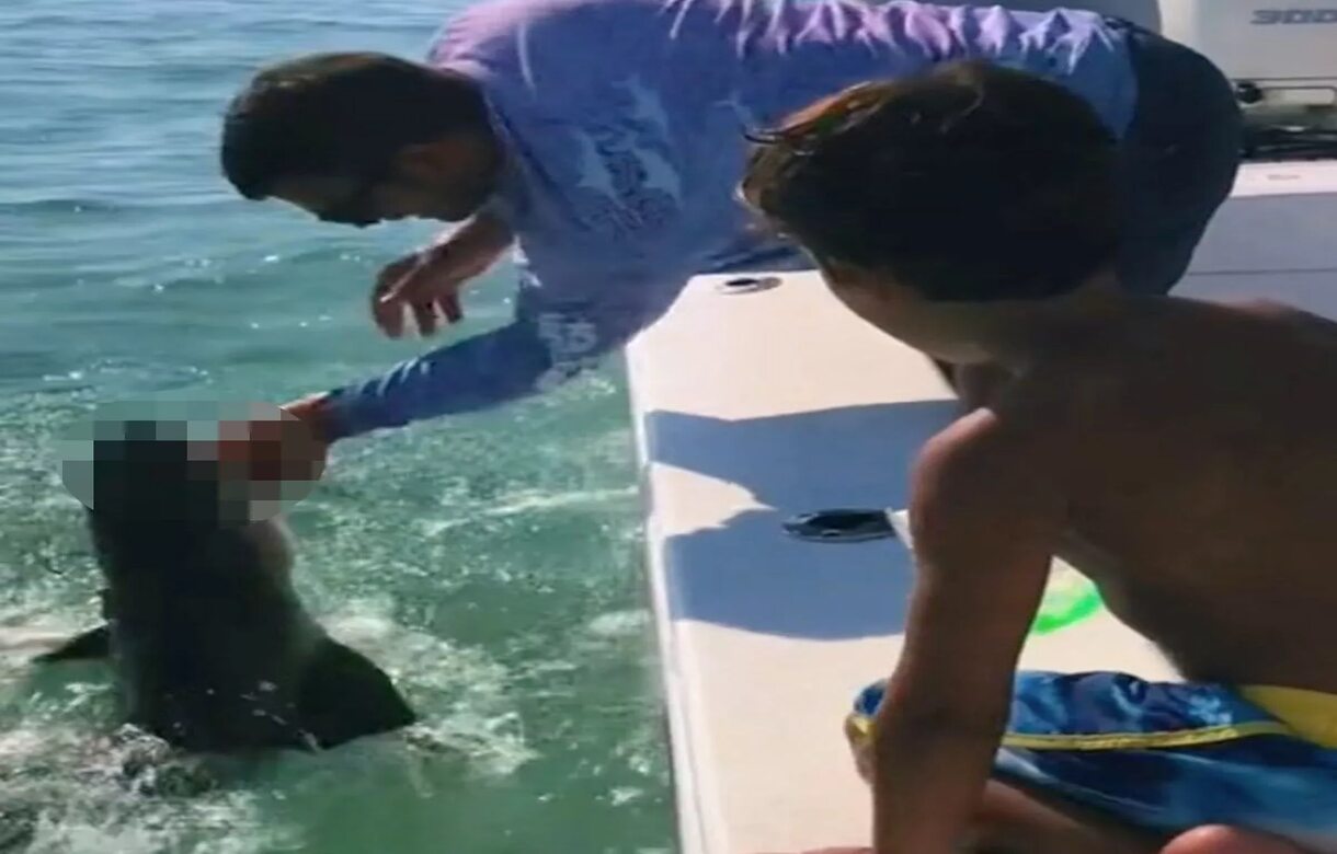 Shark bits man's finger