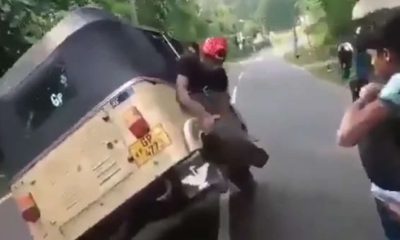 Auto-driver stunt