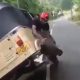 Auto-driver stunt